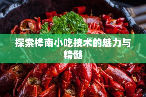 探索桦南小吃技术的魅力与精髓