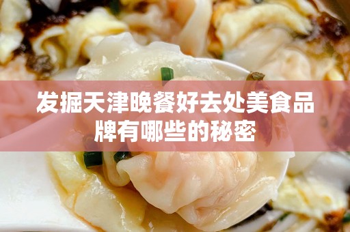 发掘天津晚餐好去处美食品牌有哪些的秘密