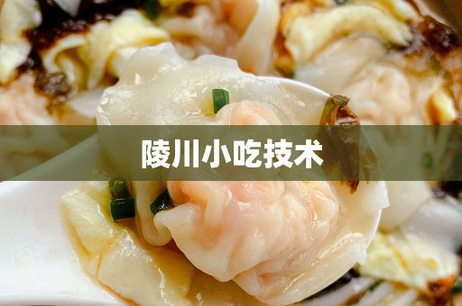 陵川小吃技术