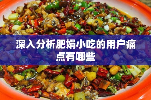 深入分析肥娟小吃的用户痛点有哪些
