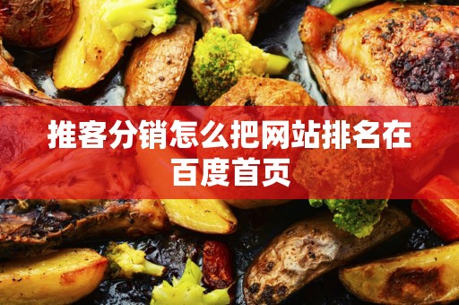 推客分销怎么把网站排名在百度首页