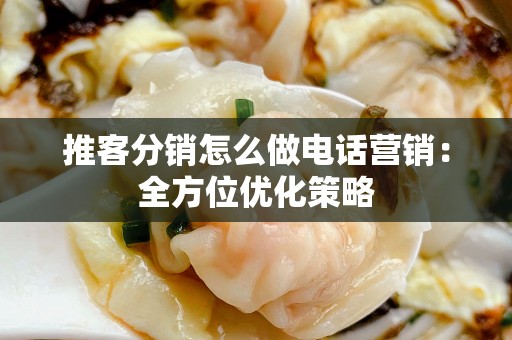 推客分销怎么做电话营销：全方位优化策略