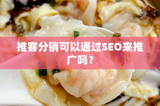 推客分销可以通过SEO来推广吗？