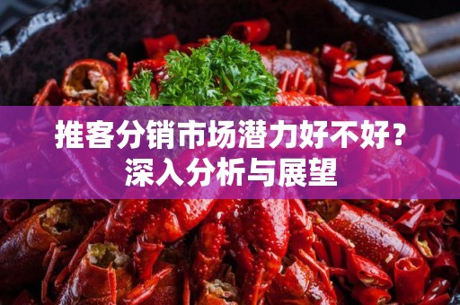 推客分销市场潜力好不好？深入分析与展望