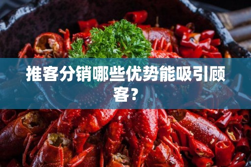 推客分销哪些优势能吸引顾客？