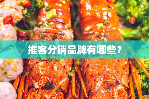 推客分销品牌有哪些？