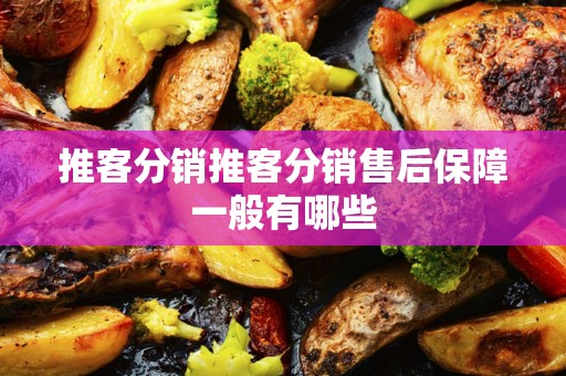 推客分销推客分销售后保障一般有哪些