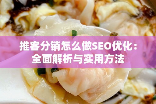推客分销怎么做SEO优化：全面解析与实用方法