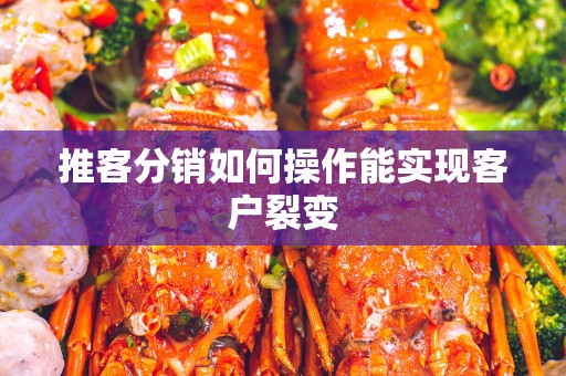 推客分销如何操作能实现客户裂变