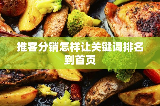 推客分销怎样让关键词排名到首页