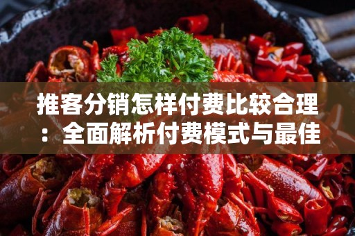 推客分销怎样付费比较合理：全面解析付费模式与最佳实践