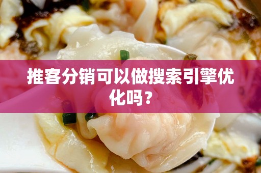 推客分销可以做搜索引擎优化吗？