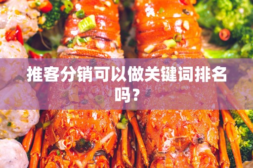 推客分销可以做关键词排名吗？