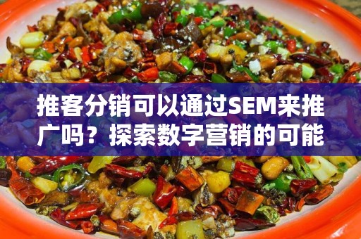 推客分销可以通过SEM来推广吗？探索数字营销的可能性