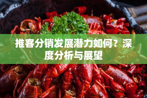 推客分销发展潜力如何？深度分析与展望
