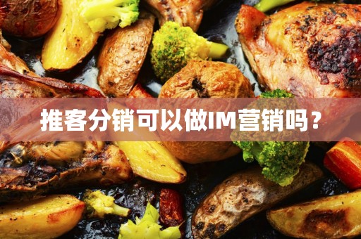 推客分销可以做IM营销吗？