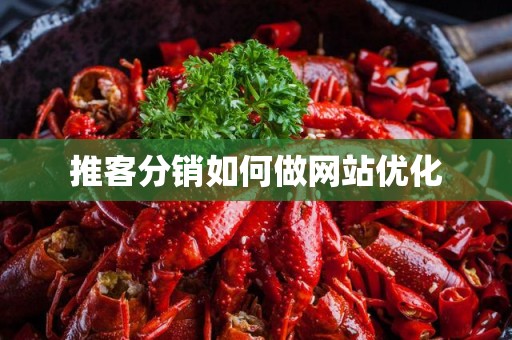 推客分销如何做网站优化
