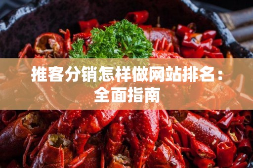 推客分销怎样做网站排名：全面指南