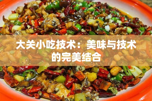 大关小吃技术：美味与技术的完美结合