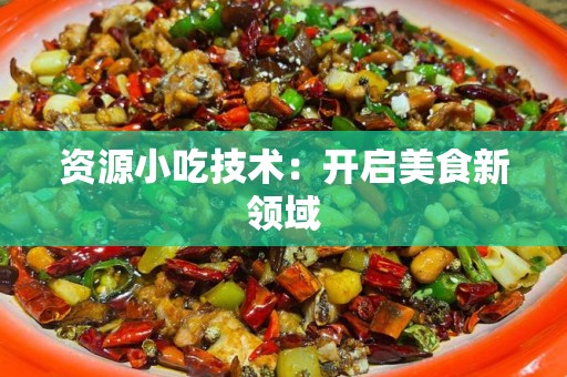 资源小吃技术：开启美食新领域