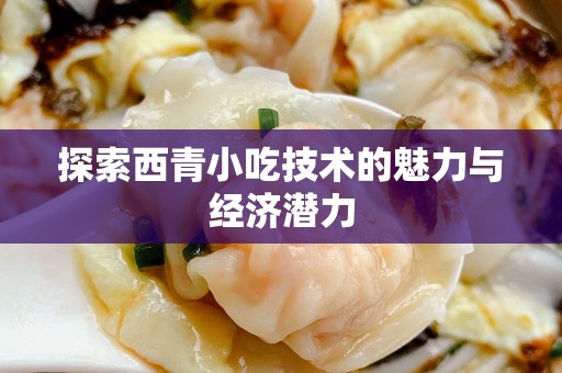 探索西青小吃技术的魅力与经济潜力