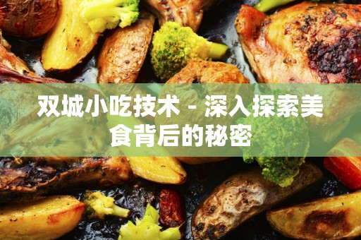 双城小吃技术 - 深入探索美食背后的秘密