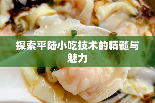 探索平陆小吃技术的精髓与魅力